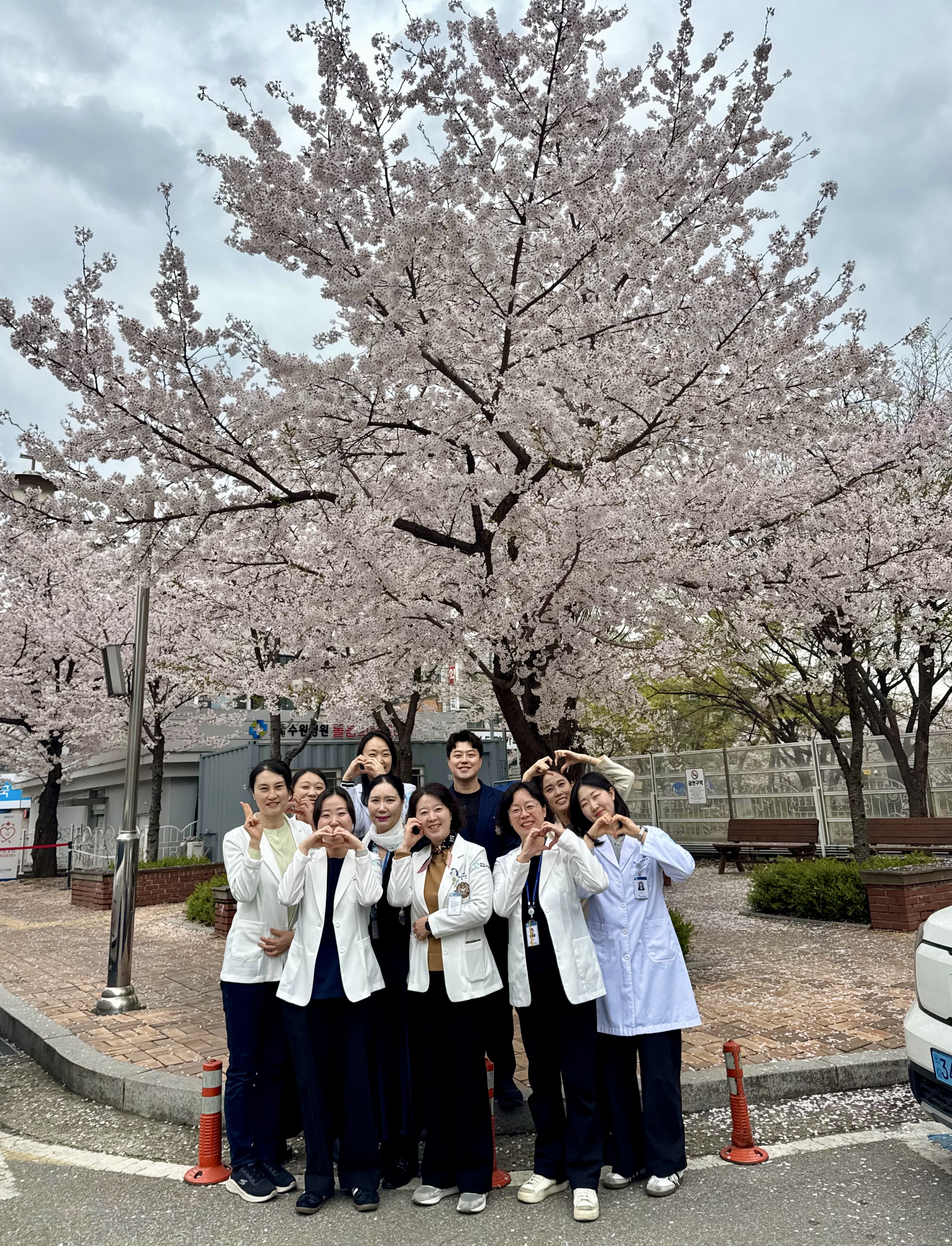 경기도의료원 수원병원, 우리병원 봄꽃 핫스팟을 찾아라! 결과 발표